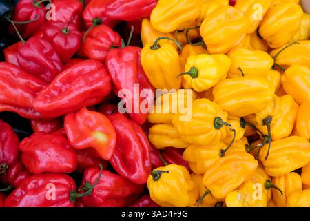 Wien, Österreich. Heiße habaneros am Naschmarkt Stockfoto