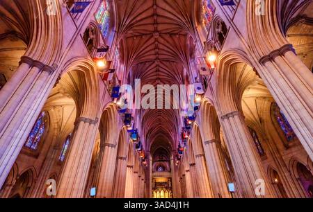 Schiff, Washington National Cathedral, Washington DC, Baubeginn 1907. (Nur Für Redaktionelle Zwecke) Stockfoto