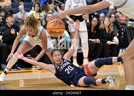 Tampa, Usa. April 2025. Der UConn-Guard Kaitlyn Chen (20) fällt während der zweiten Halbzeit in der Finalrunde des NCAA Women's Basketball Turniers in der Amalie Arena in Tampa, Florida am Freitag, den 4. April 2025. Foto: Steve Nesius/UPI Credit: UPI/Alamy Live News Stockfoto