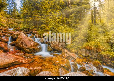 Schöner herbstlicher Gebirgsbach mit moosigen Felsen klarem Wasserstrom bunte gelbe Orangenwälder friedliche malerische Naturlandschaft Stockfoto