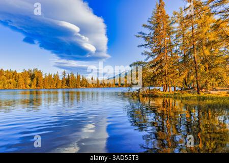 Schöner Herbst See reflektiert Kiefern ruhigen Pastellhimmel friedliche Wasseroberfläche Bergwald saisonale landschaftliche Landschaft Hintergrund Stockfoto