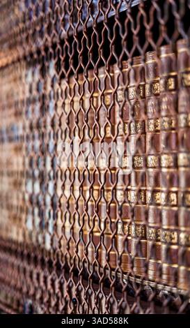 Mit Leder gebundene Volumen hinter kunstvoll verziertem Schmiedeeisen – eine detaillierte Untersuchung der Textur und Konservierung Stockfoto