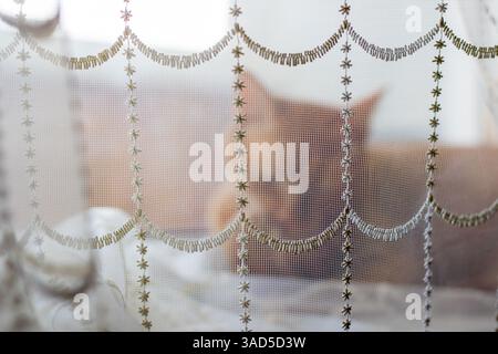 Dies ist eine detaillierte Nahaufnahme eines eleganten weißen Spitzenvorhangs, der wunderschön mit glänzenden Goldperlen akzentuiert ist und eine atemberaubende visuelle Anmutung schafft Stockfoto