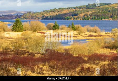 Loch Doon im Frühjahr. Loch Doon ist ein Süßwasserloch in Carrick, Schottland, mit fantastischer Aussicht und malerischer Landschaft. Die Gegend ist beliebt in wi Stockfoto