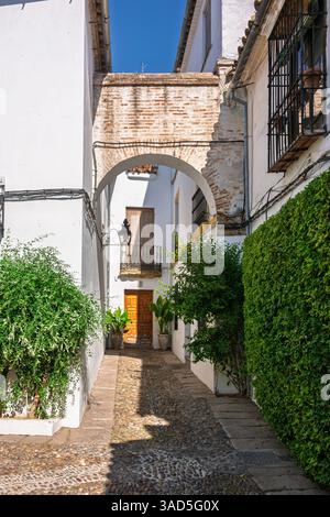 Malerische enge Straße mit Bogen und Pflanzen in cordoba, spanien Stockfoto