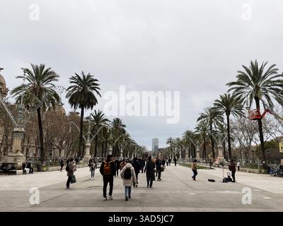Barcelona, Spanien - 24. Februar 2023: Besucher spazieren an einem bewölkten Tag auf dem Palmenboulevard in Barcelona, Spanien Stockfoto