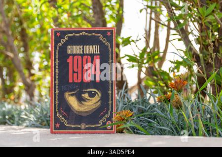 Nahaufnahme von George Orwells berühmtem dystopischen Social Science-Fiction-Roman 1984 im Garten. Stockfoto