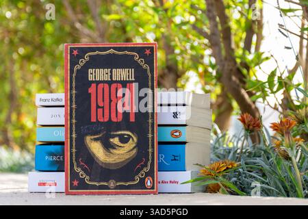 Close-up von George Orwells Roman im Garten aus dem Jahr 1984. Stockfoto