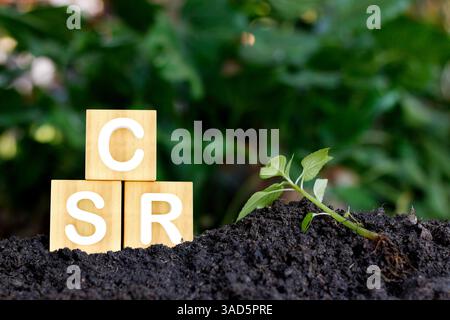 CSR-Konzept mit Holzblöcken, grüner Erde und Recycling-Symbolen, die Nachhaltigkeit, Umweltverantwortung und ethische Geschäftspraktiken symbolisieren Stockfoto