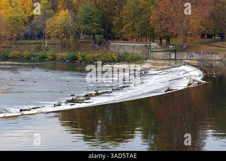 Der Fluss Po in Turin, Italien, mit einem kleinen Wehr, das sanfte Kaskaden bildet. Farbenprächtiges Herbstlaub säumt die Flussufer unter einem bewölkten Himmel. Stockfoto