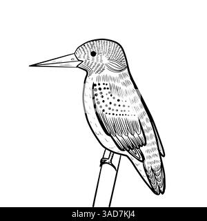 Line kingfisher isoliert, Skizze, Strichgrafik zum Ausmalen, Malbuch. Stock Vektor