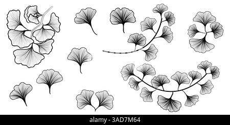 Set aus isolierten Gingko-Blättern, Strichgrafik, Designelement, Schwarzweiß-Farben. Stock Vektor
