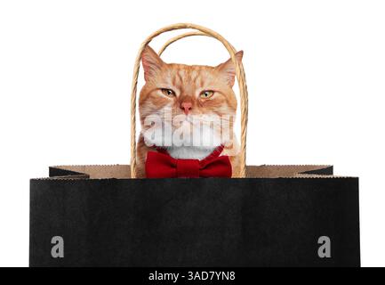 Niedliche Katze, die aus der Einkaufstasche auf weißem Hintergrund guckt Stockfoto