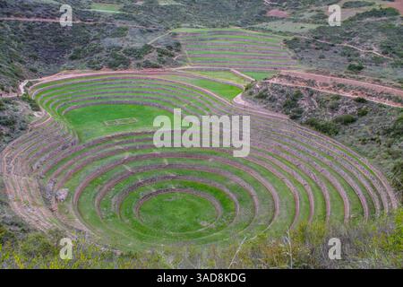 Moray kreisförmige Terrassen in Peru in der Nähe von Cusco Stadt im heiligen Tal der Inkas kulturelles und historisches archäologisches Erbe Südamerikas. Grünes Gras Stockfoto