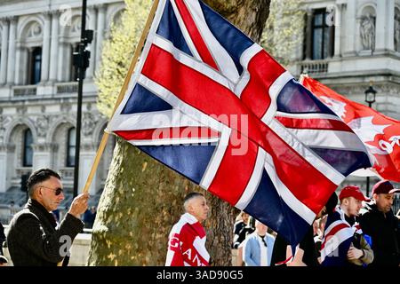 London, Großbritannien. Die britische Independence Party demonstriert die Two Tier Police gegenüber der Downing Street. Quelle: michael melia/Alamy Live News Stockfoto
