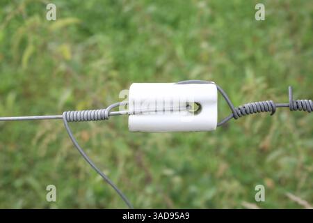 Elektrischer Zaunisolator für die Weide. Nahaufnahme des weißen Porzellan-Bullnose-End-Isolators. Zur Befestigung von stromführenden Kabeln an Zaunpfosten oder Str. Stockfoto