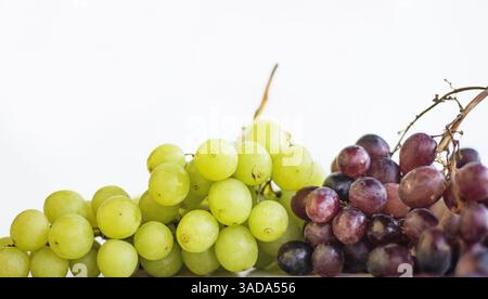 Nahaufnahme eines Strauchs weißer und roter oder lila Trauben. Frische Trauben aus grünen und blauen Trauben auf dem Holztisch, isoliert auf weißem Hintergrund. Heiz Stockfoto