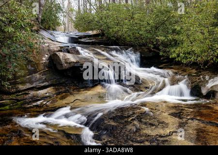 Wasserfall am Cove Creek im Pisgah National Forest in der Nähe von Brevard, North Carolina, USA Stockfoto