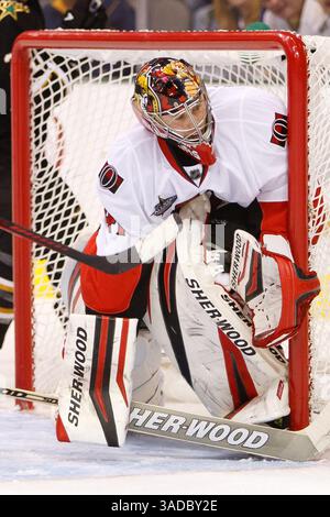 1. Dezember 2011: Dallas, Texas, USA – Ottawa Senators Goalie CRAIG ANDERSON (41) bei der Aktion zwischen den Dallas Stars und Ottawa Senators. Dallas besiegt Ottawa 3-2 im American Airlines Center. (Bild: © Andrew Dieb/Southcreek/ZUMAPRESS.com) Stockfoto
