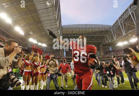 4. Dezember 2011 - Glendale, AZ, USA - Arizona Cardinals Running Back LaRod Stephens-Howling (36) trägt den Ball vom Feld, nachdem er einen kurzen Pass für einen 52-Yard-Touchdown genommen hat. Die Arizona Cardinals besiegten die Dallas Cowboys 19-13 im University of Phoenix Stadium in Glendale, Arizona, am Sonntag, den 4. Dezember 2011. (Bild: © Rodger Mallison/Fort Worth Star-Telegram/MCT/ZUMAPRESS.com) Stockfoto