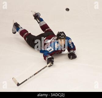 4. Dezember 2011: Colorado-Verteidiger Kyle Quincey taucht in der ersten Periode gegen Detroit auf einen losen Puck. Colorado gewann 4-2 im Pepsi Center in Denver, CO. (Kreditbild: © Derek Regensburger/Cal Sport Media/ZUMAPRESS.com) Stockfoto