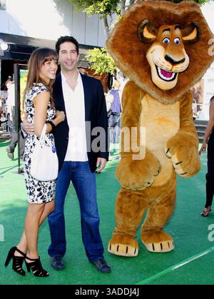 WESTWOOD, KALIFORNIEN - 26. OKTOBER 2008: Zoe Buckman und David Schwimmer bei der Premiere von Madagascar: Escape 2 Africa am 26. Oktober 2008 im Mann Village Theater in Westwood, USA. Stockfoto