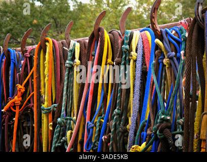 19. November 2011 - Tucson, AZ, USA - Tack for Horses hängt auf der Ranch Tanque Verde, die sich bis zum Saguaro National Park in der Nähe von Tucson, Arizona erstreckt, wo Gäste ein Leben im Stil von „Gunsmoke“ erleben können. (Bild: © Jim Buchta/Minneapolis Star Tribune/MCT/ZUMAPRESS.com) Stockfoto