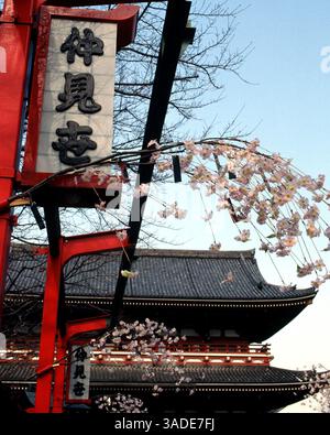 April 2000; Tokio, Japan; Ein Schild für die Nakamise Street hängt neben Kirschblüten vor Tokios Senso-JI-Tempel im Stadtteil Asakusa in Tokio. (Bild: Barry Cronin/ZUMAPRESS.com) Stockfoto
