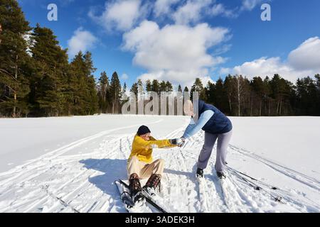 Ältere Erwachsene Paar, Familie, Skilanglauf, Frau hilft Mann in Schnee gefallen, weites weißes Feld reflektiert Licht in der Nähe von Bäumen, helle Tagesdecke Stockfoto