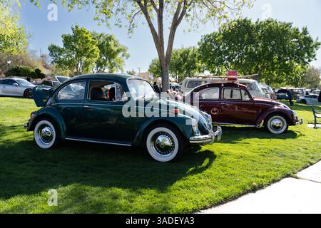 Boulder City, NV/USA – 5. April 2025: Jährliche VW-Invasion the Dam-Veranstaltung mit Wasser- und luftgekühlten Volkswagen und anderen Oldtimern Stockfoto