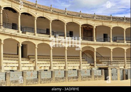 Stierkampfarena von Ronda, Plaza de Toros, Blick auf Tribünen und Säulen in einer historischen Arena, Impressionen aus Ronda, Ronda, Provinz Malaga, Andalusien Stockfoto