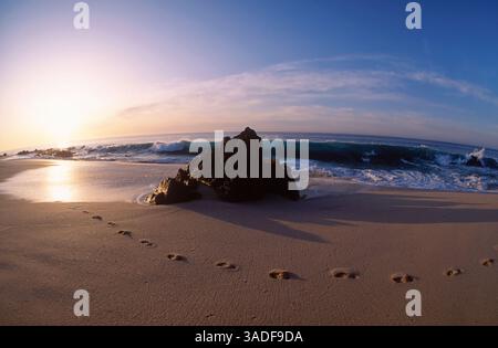 November 2002; Cabo San Lucas, MEXIKO; wunderschönes Licht am Strand des Hotel Palmilla in Cabo San Lucas, Mexiko. (Bild: Larry Dunmire/ZUMAPRESS.com) Stockfoto