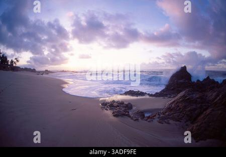 November 2002; Cabo San Lucas, MEXIKO; der Strand im Cabo San Lucas' Hotel Palmilla ist einsam und wunderschön. (Bild: Larry Dunmire/ZUMAPRESS.com) Stockfoto