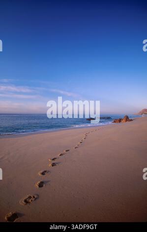 November 2002; Cabo San Lucas, MEXIKO; ein einsamer beachwalker hat den Strand im Hotel Palmilla in Cabo San Lucas erkundet. (Bild: Larry Dunmire/ZUMAPRESS.com) Stockfoto