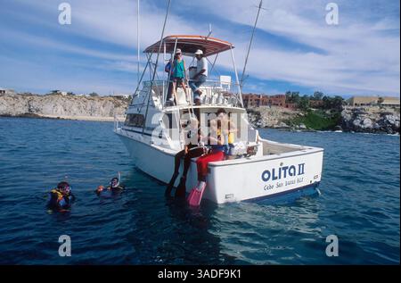 Nov 27, 2002; Cabo San Lucas, MEXIKO; Sie können auch vor Cabo San Lucas tauchen! (Bild: Larry Dunmire/ZUMAPRESS.com) Stockfoto