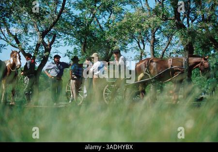 11. Januar 2001; San Antonio de Areco, ARGENTINIEN; Gauchos sprechen nach einem harten Tag an der Pampas. (Bild: Marianna Day Massey/ZUMAPRESS.com) Stockfoto