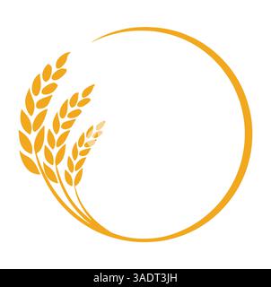 Weizen- oder Gerstenohren. Randdarstellung von geernteten Körnern, Reisstielen und Vollbrot, symbolisiert nahrhafte Getreideanbauprodukte auf einem W Stock Vektor