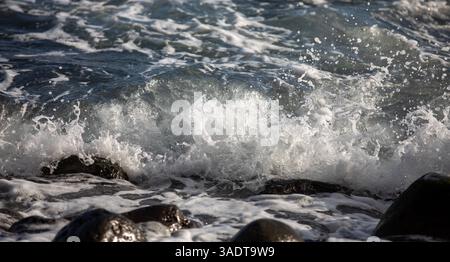 Stürmische Wellen, die an der portugiesischen Atlantikküste auf der Insel Madeira gegen Felsen stürzen Stockfoto