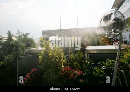 Fan im Fahrerlager... Formel-1-Weltmeisterschaft, Rd 11, großer Preis von Ungarn, Vorbereitungen, Budapest, Ungarn, Donnerstag, 31. Juli 2008 (Bild: Sutton Motorsports/ZUMAPRESS.com) Stockfoto