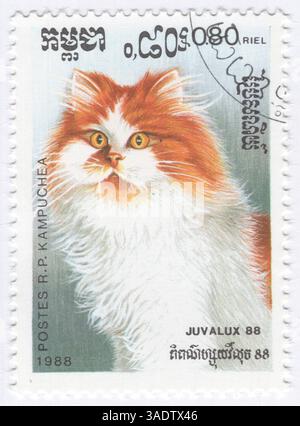 KAMBODSCHA (Kampuchea) (Republik Khmer) — 15. März 1988: Mehrfarbige 20-Cent-Briefmarke mit der rot-weißen langhaarigen Katze. Internationale Philatelismusausstellung Juvalux 88 in Luxemburg. Die Persische Langhaar ist eine langhaarige Katzenrasse, die sich durch ein rundes Gesicht und einen kurzen Fang auszeichnet. Die ersten urkundlichen Vorfahren persischer Katzen könnten bereits um 1620 aus Khorasan nach Italien importiert worden sein, dies ist jedoch nicht bewiesen. Stattdessen gibt es stärkere Beweise dafür, dass eine langhaarige Katzenrasse ab dem 19. Jahrhundert aus Afghanistan und dem Iran/Persien exportiert wird Stockfoto