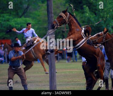 April 1999; San Antonio de Areco, Argentinien; Deutschland raus! Gaucho-Kultur ist eine der wenigen authentischen argentinischen Traditionen, deren Bräuche der Reitkunst, des ländlichen Lebens, der Küche und der Musik heute lebendig bleiben. (Bild: Russell Gordon/ZUMAPRESS.com) Stockfoto
