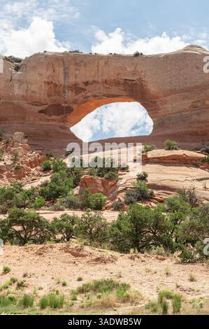 Wilson Sandstone Arch, Utah, USA Stockfoto