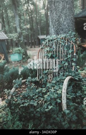 Ein alter, bewachsener Schaukelstuhl neben einem Baum in einem verlassenen nebeligen, gruseligen Garten. Vintage-Holz verwoben mit Efefeuleerem kaputten Schaukelstuhl im Sommerspook Stockfoto