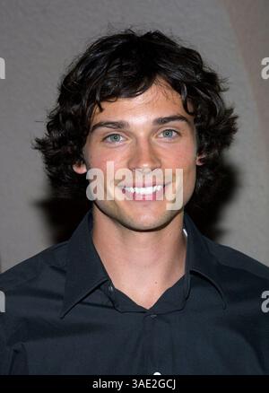 Juli 2001; Los Angeles, CA, USA; Schauspieler TOM WELLING bei der TCA Summer Press Tour für WB.. (Bild: Lisa O'Connor/ZUMAPRESS.com) Stockfoto
