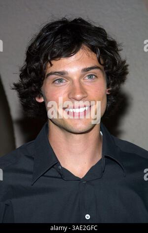 Juli 2001; Los Angeles, CA, USA; Schauspieler TOM WELLING bei der TCA Summer Press Tour für WB.. (Bild: Lisa O'Connor/ZUMAPRESS.com) Stockfoto