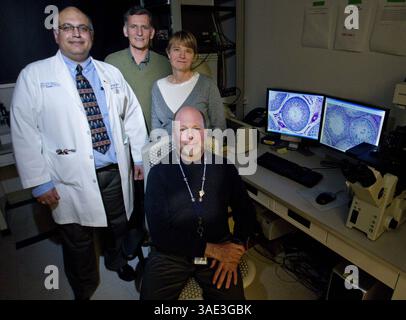 Februar 2012 - Kansas City, KS, USA - von links stehend, Dr. Ajay Nangia, Dr. Gustavo Blanco, Dr. Leslie Heckert stand mit Dr. Joseph Tash zusammen, während er in der Nähe eines Mikroskops sitzt, mit vorher-Nachher-Bildern von Hoden, die mit Verhütungsmitteln behandelt wurden, am 1. Februar 2012 in Kansas City, Kansas. Forscher von KU Medical testen neue Medikamente als mögliche männliche Verhütungsmittel. (Bild: © Shane Keyser/Kansas City Star/MCT/ZUMAPRESS.com) Stockfoto