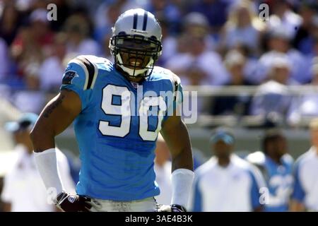 Oktober 2003; Charlotte, NC, USA; Carolina Panthers Defensive Ende JULIUS PAPRIKA. Die Titans besiegten die Carolina Panthers 37-17 im Ericsson Stadium in Charlotte. (Bild: Nell Redmond/ZUMAPRESS.com) Stockfoto