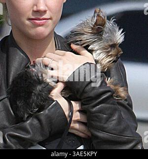 28. Mai 2008 - Hollywood, Kalifornien, USA - Schauspielerin AMBER HEARD Shopping in Hollywood (Bild: Jack Carter/ZUMAPRESS.com) Stockfoto