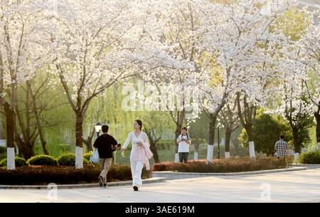 Peking, Chinas Provinz Zhejiang. März 2025. Dieses Foto zeigt einen Blick auf den Moganshan Campus der Technischen Universität Zhejiang in Huzhou, ostchinesische Provinz Zhejiang, 25. März 2025. Quelle: Xie Shangguo/Xinhua/Alamy Live News Stockfoto