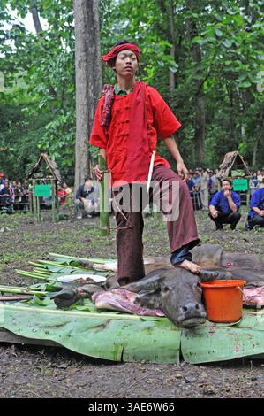 18. Juni 2008 - Chiang Mai, Thailand - Chiang Mai, Thailands zweitgrößte Stadt und ein wichtiger Tourismuszentrum, birgt ein dunkles Geheimnis, das eine Szene aus einem Horrorfilm sein könnte. Tief im Dschungelwald im Schatten des Doi Kham Tempels findet eine rituelle Zeremonie statt, inmitten von rasenden, staunenden und einigen schockierten Einheimischen und einer Handvoll Touristen, in einem Dunst von Insekten und Delirium. Ein Schuljunge verschlingt einen frisch geschlachteten Büffel, der unter ihm liegt wie ein blutiger Teppich. Scheiben von sehnlichem Fleisch, hängende Eingeweide und ein Eimer voller Blut sind die Spezialitäten des Tages. Der Wald stinkt nach verfallendem Fleisch und Stockfoto